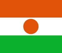ՠ Niger-ܚgӭćҺ͵؅^а
